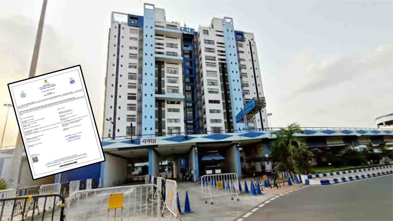 birth certificate rule