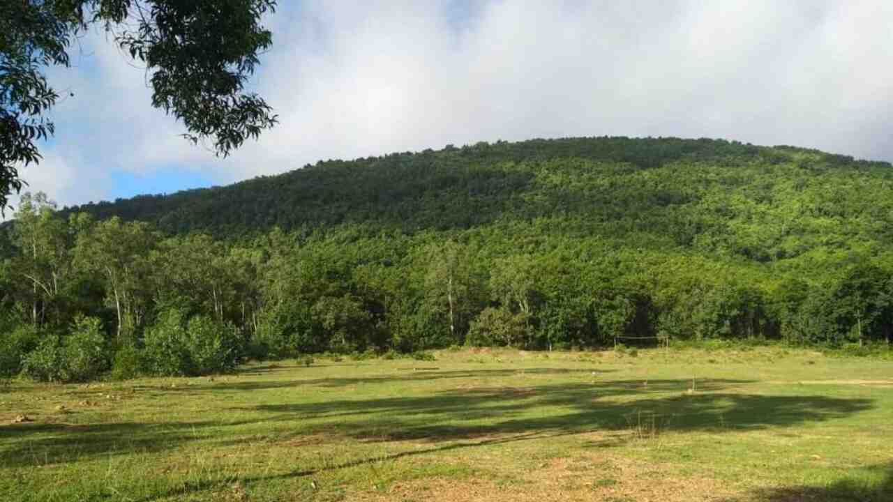 Bengal Offbeat Place