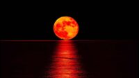 Blood Moon