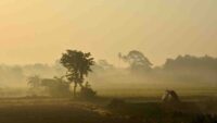 South Bengal Winter Weather Today