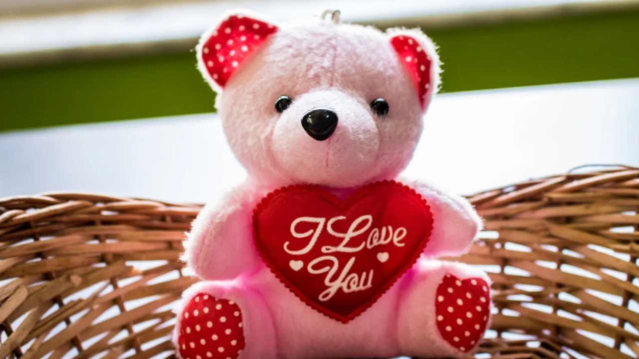 Teddy Day Wishes in Bengali