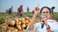 Farmer Potato Price