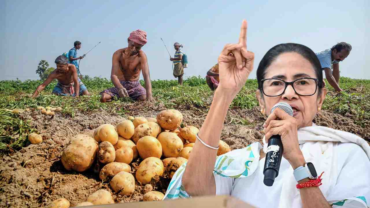Farmer Potato Price