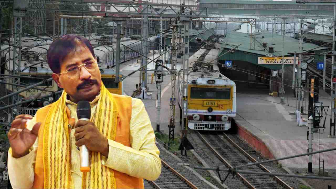 Gede Sealdah Local train